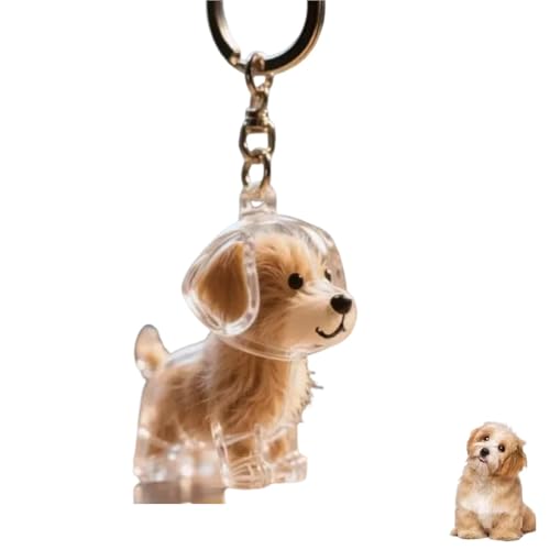 Schlüsselanhänger Hund, Tierhaar Erinnerung, Erinnerung Hund, Transparenter Tierhaar Erinnerung Anhänger, Hund Schlüsselanhänger, Praktisches Andenken Für Tierliebhaber, DIY Haustier Erinnerungsstück von HYZSHL