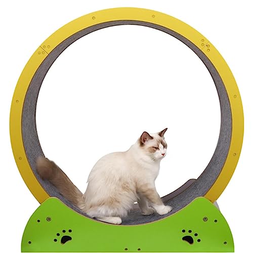 Katzen-Kratzbrett aus Holz, Übungsrad, Katzenlaufband, Katzen-Klettergerüst mit leisen Rollen, Laufen, Spinnen, Kratzen und Klettern zu tun hat Katzen-Kratzbrett aus Holz, Übungsrad, Katzenlaufband, Katzen-Klettergerüst mit leisen Rollen, Laufen, Spinnen, Kratzen und Klettern zu tun hat von HZWJD