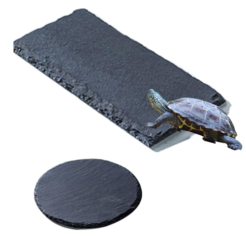 HZXMKB 2 x Schildkröten-Schiefer-Reptilien-Plattform, 20,1 x 15,2 cm, rechteckig + 15,2 cm rund, Habitat Naturstein für Vivarium, Schildkröte, Bad, Futterschale, Platte, Schlangenfrosch, Schildkröte, HZXMKB 2 x Schildkröten-Schiefer-Reptilien-Plattform, 20,1 x 15,2 cm, rechteckig + 15,2 cm rund, Habitat Naturstein für Vivarium, Schildkröte, Bad, Futterschale, Platte, Schlangenfrosch, Schildkröte, von HZXMKB