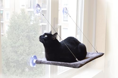 Cat View - Hängematte mit Fenster für Katzen von United Pets