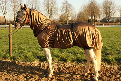 Hafer24 Ekzemerdecke Master mit Fliegenmaske - Farbe braun (95 cm/Maske S) von Hafer24