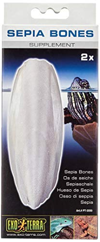Exo Terra Sepia Bones, Sepiaschale, schwimmfähig, Kalziumquelle, ideal für Schildkröten und alle Eidechsenarten, 2er Pack Exo Terra Sepia Bones, Sepiaschale, schwimmfähig, Kalziumquelle, ideal für Schildkröten und alle Eidechsenarten, 2er Pack von Hagen