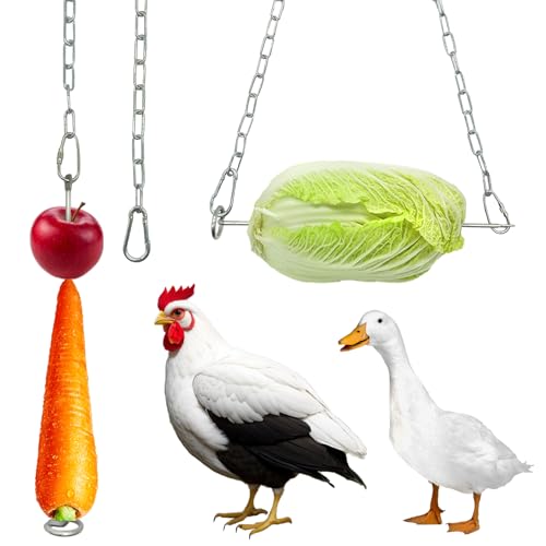 HahaMagic 2 Stück Hühner Futterautomat zum Aufhängen, Obstgabel Aus Edelstahl für Huhn mit Häkchen, Huhn Gemüse Obst Spieß, geeignet als Hühner Spielzeug, Hühner Zubehör und Hühner Beschäftigung von HahaMagic