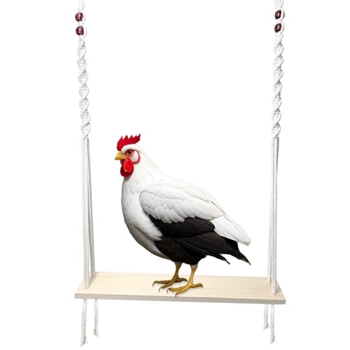 HahaMagic Hühnerschaukel für Hühnerstall, Hühnerspielzeug für Hennen und Hähne, Natürliches, handgefertigtes Hühnerstallzubehör aus Holz, als Geschenk für Hühnerbesitzer und Hühnerliebhaber von HahaMagic