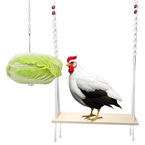 HahaMagic Hühnerschaukelspielzeug und hängender Hühnerfutterhalter mit Kette und Haken für große Hühnerkäfige, Zubehör für Hühnerkäfige, Hühnerliebhaber und Besitzer von HahaMagic
