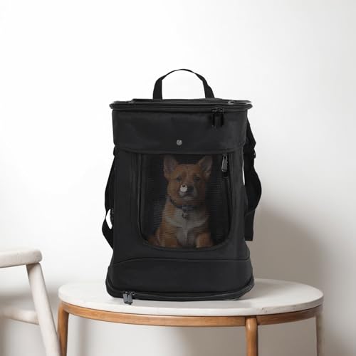 Haustier Rucksack Träger, Groß, atmungsaktives Mesh, für Katzen, Kleine Hunde, Welpen, tragbar für Outdoor, Reise, Wandern, Camping, Airline genehmigt Haustier Rucksack Träger, Groß, atmungsaktives Mesh, für Katzen, Kleine Hunde, Welpen, tragbar für Outdoor, Reise, Wandern, Camping, Airline genehmigt von HaiYiZuhause