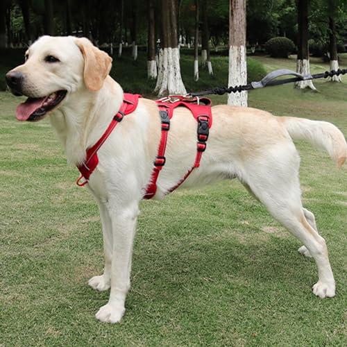 Haibinsuo Hundegeschirr für Haustiere, ausbruchsicher, verstellbare Schnalle, kein Ziehen, großes Hundegeschirr, Haustierbedarf, Rot, Größe L Haibinsuo Hundegeschirr für Haustiere, ausbruchsicher, verstellbare Schnalle, kein Ziehen, großes Hundegeschirr, Haustierbedarf, Rot, Größe L von Haibinsuo