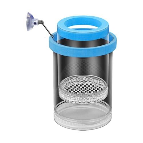 Aquarien Brutkasten Brutkasten mit Netz und Saugnapf für Guppy Bettas Fisch und Garnelen Isolation Zucht schwimmende Zuchtbox für Aquarien von Haiki