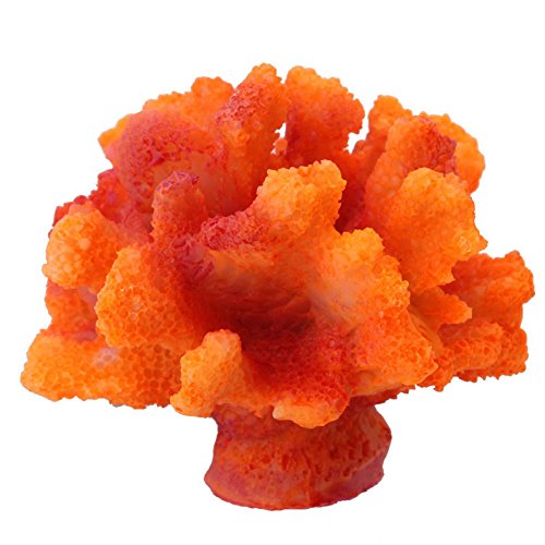 Haiki Aquarium-Dekoration, kleine Polyresin-Korallenornamente, Fische für Korallen, Dekoration, Kunstharz, Fischkorallendekorationen Haiki Aquarium-Dekoration, kleine Polyresin-Korallenornamente, Fische für Korallen, Dekoration, Kunstharz, Fischkorallendekorationen von Haiki