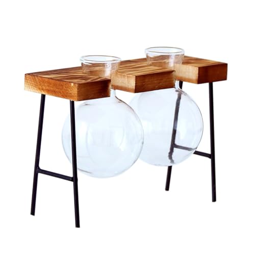 Haiki Desktops Pflanzen-Terrarien mit Holzständer, Anzuchtstationen, elegante Klarglas-Zwiebelvase, Pflanzgefäß von Haiki