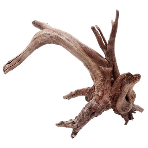 Haiki Driftwood Für Aquarium Natürlicher Spinnenholz Reptilienzweige Fisch Für Tankdekorationspflanze Stumpf 4 7 Zoll 7 5 Zoll 10 6 Zoll Lang von Haiki