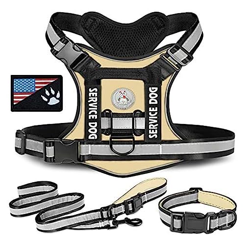 Haiki Hunde Brust Geschirr Mit Linie Taktische Pet Weste Geschirr Einfache Kontrolle Hunde Wandern Training Reflektierende Harness Haiki Hunde Brust Geschirr Mit Linie Taktische Pet Weste Geschirr Einfache Kontrolle Hunde Wandern Training Reflektierende Harness von Haiki