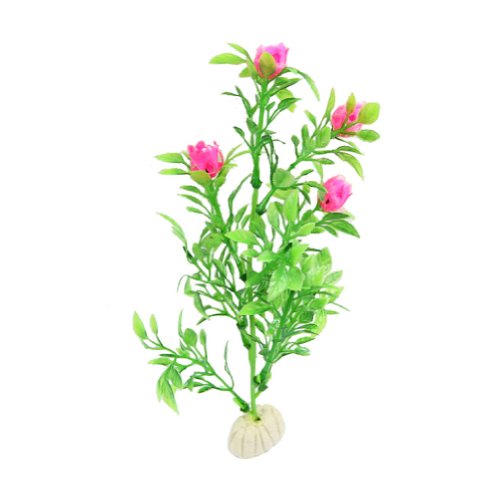 Haiki Künstliche Wasserpflanze Aquariumpflanzen Terrarium Fischtank Ornamente Dekorationspflanze Zum Dekorieren Von Fischtank Haiki Künstliche Wasserpflanze Aquariumpflanzen Terrarium Fischtank Ornamente Dekorationspflanze Zum Dekorieren Von Fischtank von Haiki