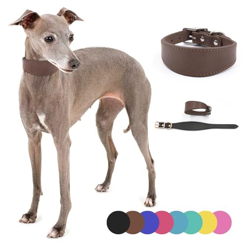Haiki Leathers Hundehalsband, weich gepolstert, für Whippets, Salukis, Windhunde, verstellbares Halsband für große Rassen von Haiki
