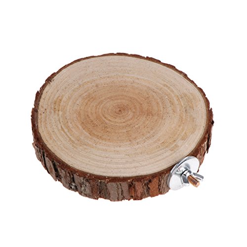 Haustier-Plattform-Ständer, Höhle, Pier, Käfigzubehör für Meerschweinchen, Kleintiere für Spielplattformhaus von Haiki