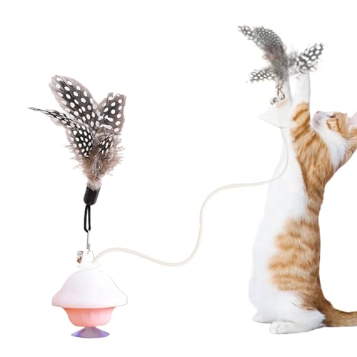 Hailerio Interaktives Katzenspielzeug für Indoor-Katzen, Kätzchen-Spielübung, Feder-Teaser-Spielzeug, interaktives Boden-Saugnapf, Katzenspielzeug für Indoor-Katze, austauschbares Federspielzeug für Hailerio Interaktives Katzenspielzeug für Indoor-Katzen, Kätzchen-Spielübung, Feder-Teaser-Spielzeug, interaktives Boden-Saugnapf, Katzenspielzeug für Indoor-Katze, austauschbares Federspielzeug für von Hailerio