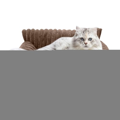 Hailerio Katzenbett Couch | Gemütliche Kuschel Liege | Plüsch Erhöhtes Sofa Bett für Katze und Hund Wohnung Auto Reise Hailerio Katzenbett Couch | Gemütliche Kuschel Liege | Plüsch Erhöhtes Sofa Bett für Katze und Hund Wohnung Auto Reise von Hailerio