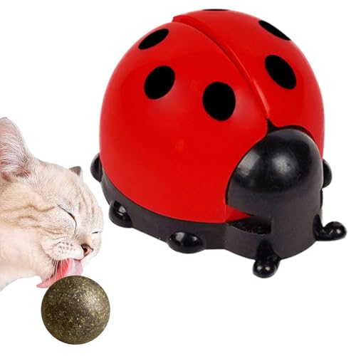 Hailerio Katzenminze Wandball - Niedliche Wand Katzenminze Bälle | Essbarer Spielzeugball Kätzchen Zahnen Spielzeug, Haustierbedarf Katzenspielzeug mit Katzenminze für Indoor Katzen Hailerio Katzenminze Wandball - Niedliche Wand Katzenminze Bälle | Essbarer Spielzeugball Kätzchen Zahnen Spielzeug, Haustierbedarf Katzenspielzeug mit Katzenminze für Indoor Katzen von Hailerio