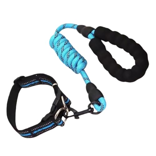 Hailerio Kleines Hundehalsband, verstellbares Haustierhalsband - Verstellbares Hundehalsband für Haustiere,Pet Supplies Weiche Haustierhalsbänder, geeignet für große, mittlere und kleine Hunderassen Hailerio Kleines Hundehalsband, verstellbares Haustierhalsband - Verstellbares Hundehalsband für Haustiere,Pet Supplies Weiche Haustierhalsbänder, geeignet für große, mittlere und kleine Hunderassen von Hailerio