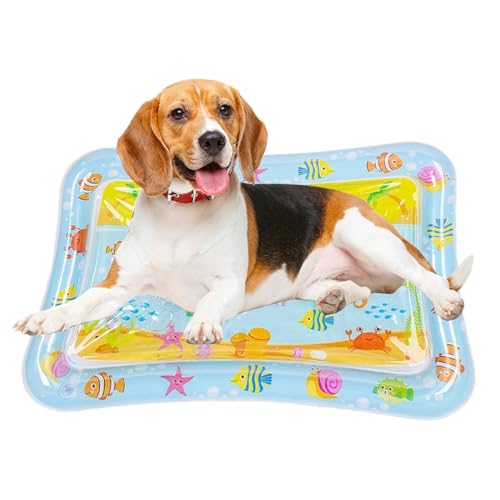 Hailerio Sensor Water Playmat, Sensorische Wasser-Spielmatte Für Katzen, Verdickte Wasser-Sensor-Spielmatte Für Katzen, Verdickte Wasserspielmatte Katze, Wassermatte Für Kinder Hailerio Sensor Water Playmat, Sensorische Wasser-Spielmatte Für Katzen, Verdickte Wasser-Sensor-Spielmatte Für Katzen, Verdickte Wasserspielmatte Katze, Wassermatte Für Kinder von Hailerio