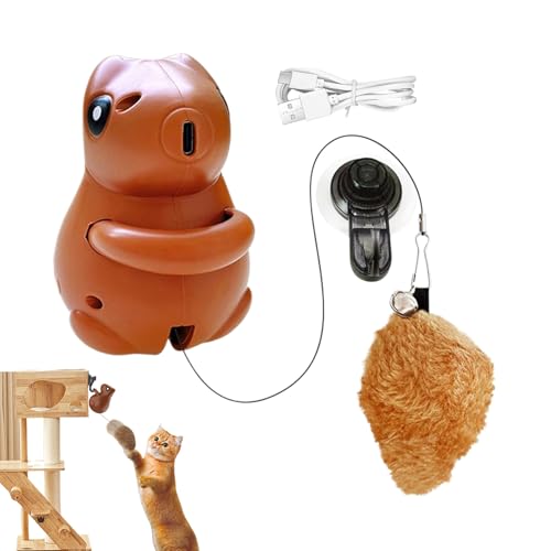 Katzen -Eichhörnchenspielzeug, Eichhörnchenspielzeug für Katzen - Jumping Electronic Cat Toys | Interaktiver Haustier Teaser, hängenbar mit Saugnapfbügel, Haustierversorgungen für Spiele von Hailerio
