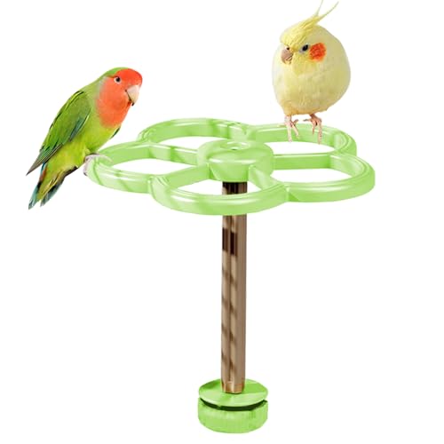 Vogel Sitzstange Für Käfig,Spielplatz Mit Windmühle Für Vögel | Interaktiver Vogelkäfig Spielstand Für Papageien, Sittiche Und Kanarienvögel Zur Krallenpflege Vogel Sitzstange Für Käfig,Spielplatz Mit Windmühle Für Vögel | Interaktiver Vogelkäfig Spielstand Für Papageien, Sittiche Und Kanarienvögel Zur Krallenpflege von Hailerio