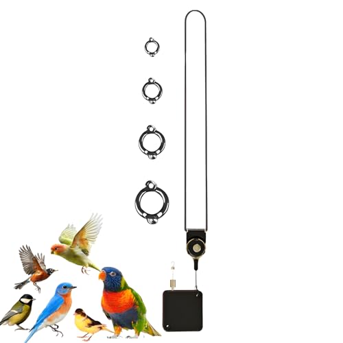 Vogelbein Seil | Edelstahl Selbstaufrollende Flugleine Für Papageien | Kaugeeignetes Verstellbares Vogel Sprunggelenk Zubehör Für Sittiche Nymphensittiche Wellensittiche Finken Vogelbein Seil | Edelstahl Selbstaufrollende Flugleine Für Papageien | Kaugeeignetes Verstellbares Vogel Sprunggelenk Zubehör Für Sittiche Nymphensittiche Wellensittiche Finken von Hailerio