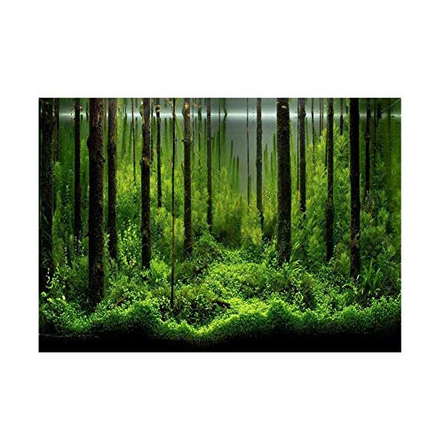 Hakeeta Forest Tank Aquarium Poster, PVC Klebstoff Unterwasser Wald Aquarium Hintergrund Poster Hintergrund Dekoration Papier.(61 * 41 cm) von Hakeeta