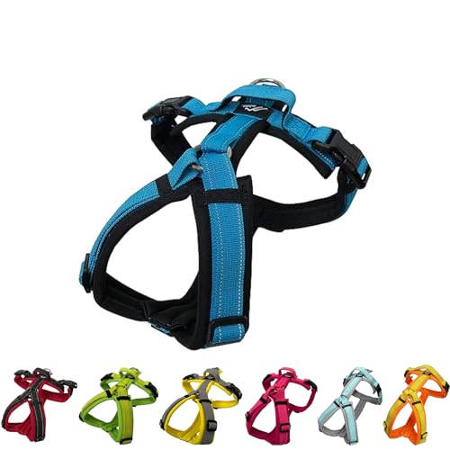 Hakusan Zero Harness (S, Schwarz x Türkis) von Hakusan