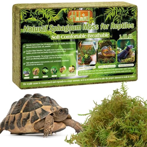 Halatool 500g Premium Sphagnum Moos, Natural Terrarium Moos Block für Reptiles(Leopardgecko, Schlangen, Hamster, Schildkröten, Frösche, Echsen, Salamander), Safe for Plants & Animals von Halatool