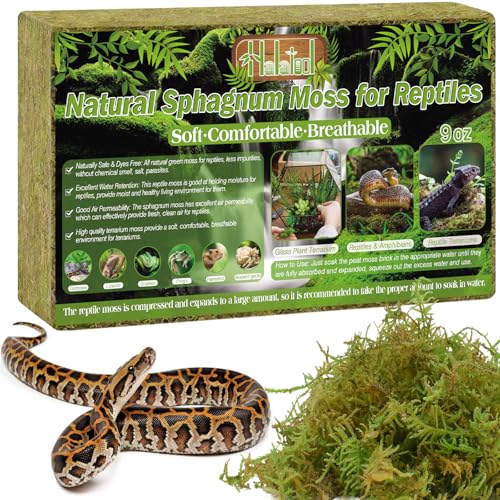 Halatool Moos für Reptilien (142g) von Halatool