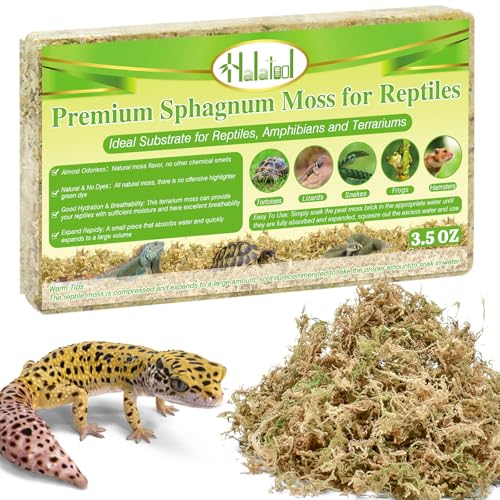 Halatool Natürliches Sphagnum-Moos für Reptilien, hochwertiges Reptilienmoos, ideales Terrarienmoos für Buchsschildkröten, Einsiedlerkrebse, Leopard, Gecko, Schlangen und Hamstergehege, 100 ml Halatool Natürliches Sphagnum-Moos für Reptilien, hochwertiges Reptilienmoos, ideales Terrarienmoos für Buchsschildkröten, Einsiedlerkrebse, Leopard, Gecko, Schlangen und Hamstergehege, 100 ml von Halatool