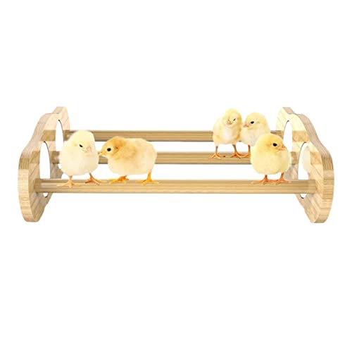 Halatua Hühnerstall Sitzstange – mit Spiegel-Küken-Brote, Hühner-Ständer, Spielzeug für große Vögel, Henne und Papagei von Halatua