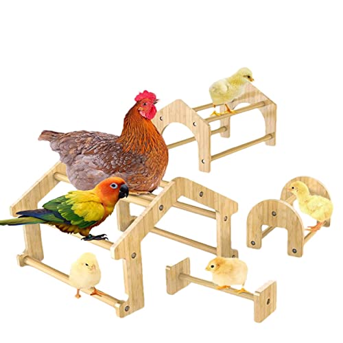 Halatua Hühnerstange | Baby Huhn Spielzeug mit Spiegel, Holz Baby Küken einfach zu montieren und zu reinigen, lustiges Spielzeug für das Training von Vogel, Huhn, Papagei von Halatua