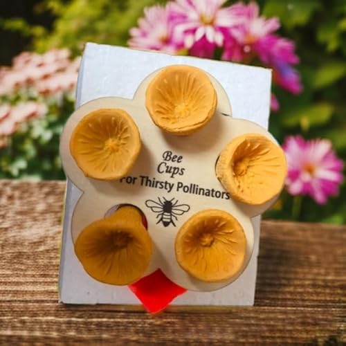 Bienen Insekten Trinkbecher Bienen Wasserspender mit Kindergarten Becher & Halter Bestäuber Trinkbecher Harz Imkerbedarf (03) von HalcyonFit