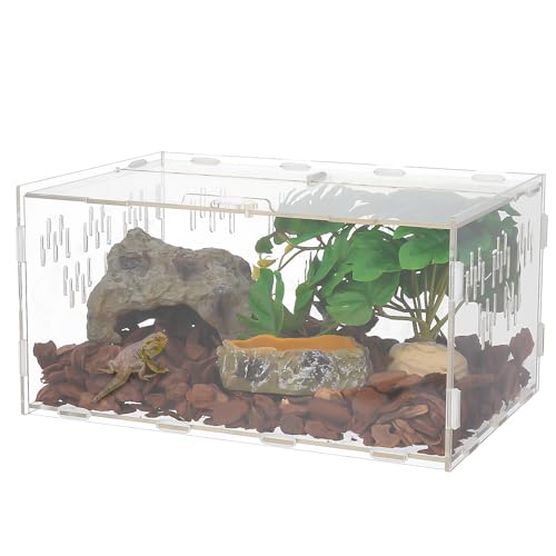 Halinuia Schnecken Terrarium, 30 x 20 x 15 cm Acryl Terrarium Reptil Fütterungsbox Transparent Mini Terrarium für Schnecken, Wasserschildkröten, SpinnenHamster, Einsiedlerkrebs, Echse von Halinuia
