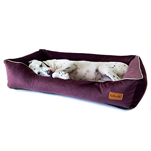Halkalife Hundebett mit hohen Seiten – abnehmbar & waschbar – bequemes Hundesofa aus Velours für alle Größen (L (100x70x18 cm), Pflaume) von Halkalife