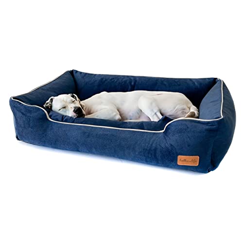 Halkalife Hundesofa – abnehmbares & waschbares Hundebett mit hohen Seiten – Hundebett aus Velours für kleine und große Hunde (L (100x70x18 cm), Marine) von Halkalife