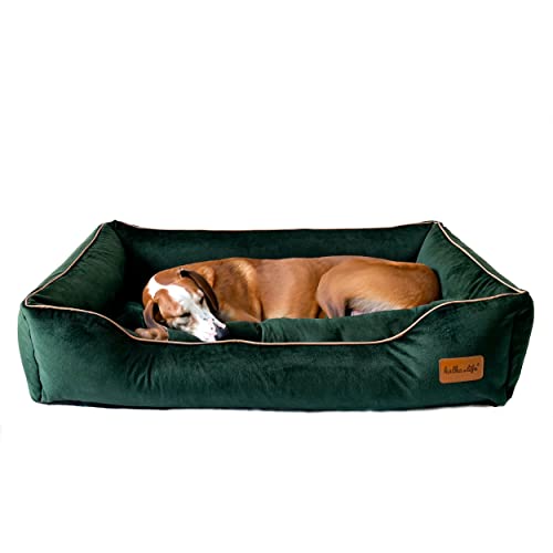 Halkalife Hundesofa, Hundebett aus Samt. Hundebett mit abnehmbarem Kissen und maschinenwaschbar (L (100x70x18 cm), Flaschengrün) von Halkalife