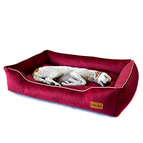 Halkalife Wasserdichtes und abriebfestes Hundesofa. Luxuriöse, glamouröse Couch für einen Hund oder eine Katze. Weiches Hundebett. (L (100x70x18 cm), Kirsche) von Halkalife