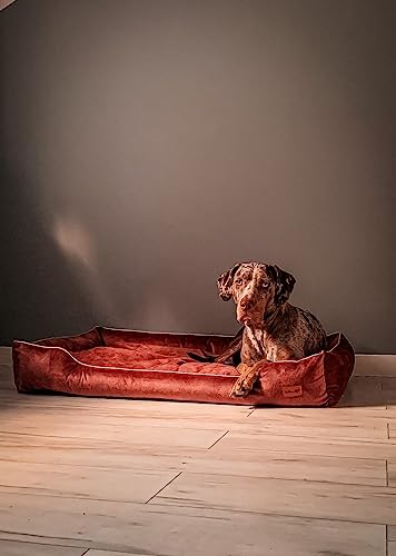 Halkalife Hundesofa, Hundebett aus Velours. Hundekorb abnehmbar und waschbar (L (100x70x18 cm), schmutziges Rosa) von Halkalife
