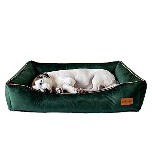 Halkalife Hundesofa aus Velours, Hundebetten mit erhöhten Seiten, rutschfeste Hundebetten, Hundekorb, Bezug abnehmbar und waschbar (M (80x50x18 cm), Flaschengrün) von Halkalife