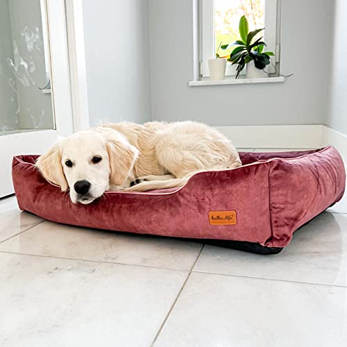 Halkalife Wasserdichtes und abriebfestes Hundesofa. Luxuriöse, glamouröse Couch für einen Hund oder eine Katze. Weiches Hundebett. (M (80x50x18 cm), schmutziges Rosa) von Halkalife