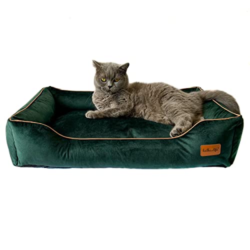 Katzensofa – Samtsofa für einen kleinen Hund – Hundebett mit separatem Kissen und abnehmbaren Kissenbezügen – Hundebett aus dickem, strapazierfähigem Polstermaterial (S (60x40x15 cm), Flaschengrün) von Halkalife