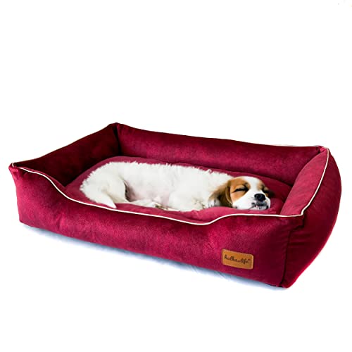Halkalife Wasserdichtes und abriebfestes Hundesofa. Luxuriöse, glamouröse Couch für einen Hund oder eine Katze. Weiches Hundebett. (S (60x40x15 cm), Kirsche) von Halkalife