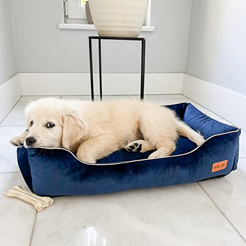 Halkalife Wasserdichtes und abriebfestes Hundesofa. Luxuriöse, glamouröse Couch für einen Hund oder eine Katze. Weiches Hundebett. (S (60x40x15 cm), Marine) von Halkalife