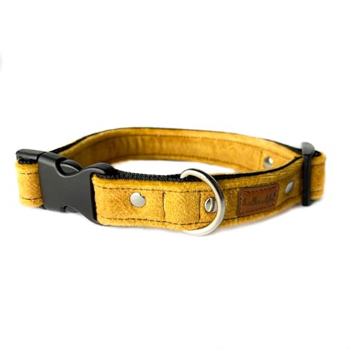 Hundehalsband aus Samt – Dickes und langlebiges Halsband für Hunde – Starke und leichte Kunststoffschnalle und leicht zu reinigendes Hundehalsband (Gelb, M, Kunststoffschnalle (2,5 cm / 27-44 cm)) von Halkalife