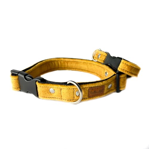 Velvet Dog Collar - Thick and Durable Collar for Dogs - Strong and Lightweight Plastic Buckle and Easy to clean Dog Collar - Made in The EU (Gelb, S, Kunststoffschnalle (1,5 cm / 25-35 cm)) von Halkalife