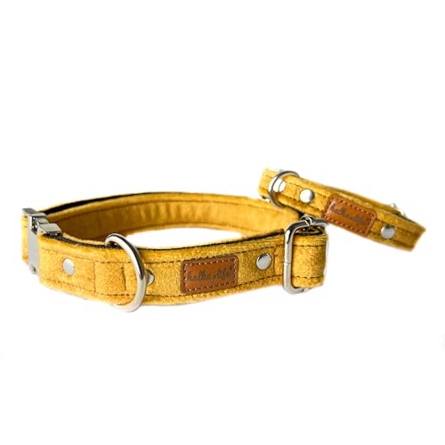 Hundehalsbänder aus Samt – Dickes und langlebiges Halsband für Hunde – Starke Metallschnalle und leicht zu reinigendes Hundehalsband – Hergestellt in der EU (Gelb, XS (1,5 cm / 17-28 cm)) von Halkalife