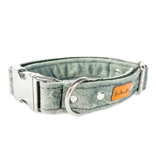Hundehalsbänder aus Samt – Dickes und langlebiges Halsband für Hunde – Starke Metallschnalle und leicht zu reinigendes Hundehalsband – Hergestellt in der EU (Grau, L (2,5 cm / 37-57 cm)) von Halkalife